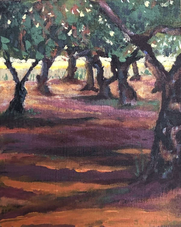 Olive Grove by Janet Gallagher