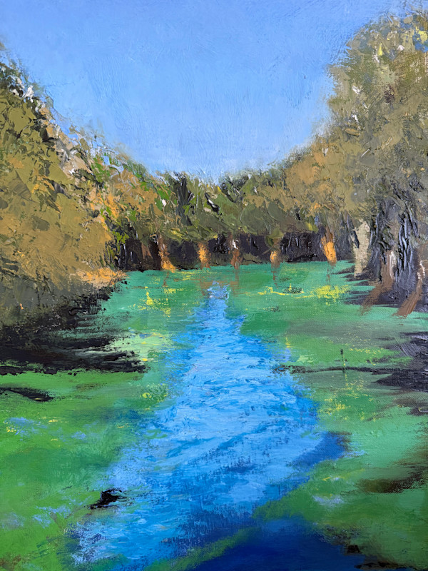 Manatee Country by Janet Gallagher