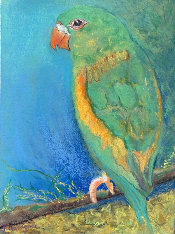 Parrot by Janet Gallagher, Image 2.