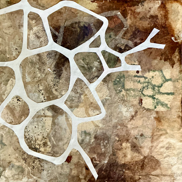 The Space in Between by Carolyn Forrester