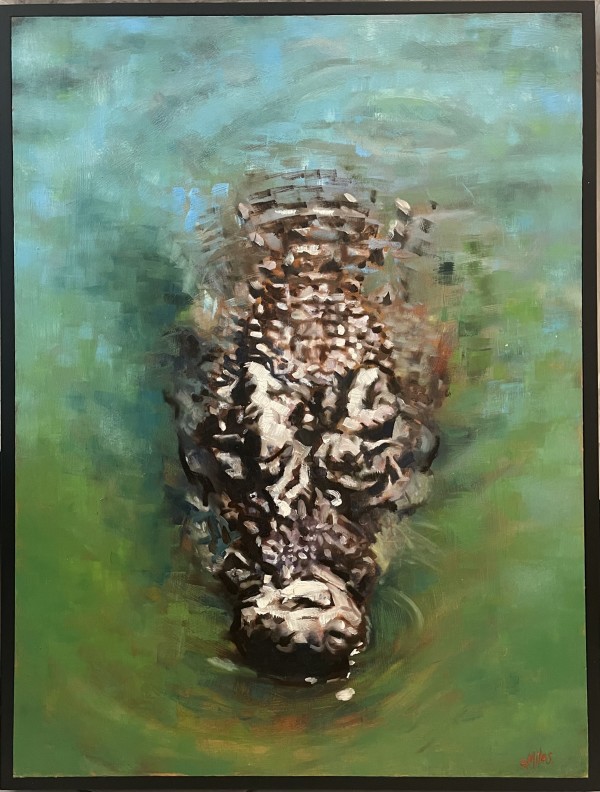 Never Smile At A Crocodile. by Catherine Miles