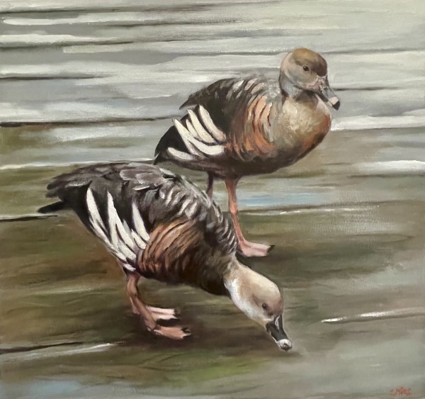 Whistling Ducks At Territory Wildlife Park by Catherine Miles