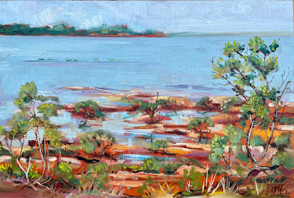 Turn Of The Tide Through The Mangroves by Catherine Miles