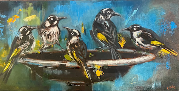 Honey Eater Antics by Catherine Miles