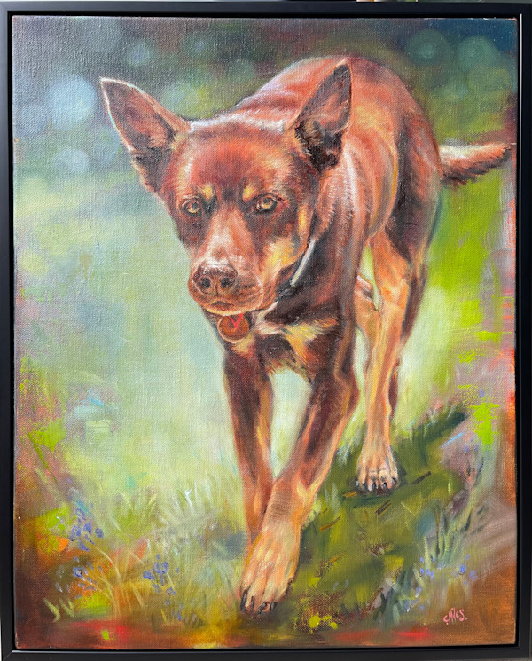 Working Dog by Catherine Miles