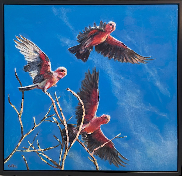 Galahs In Flight by Catherine Miles, Image 24.
