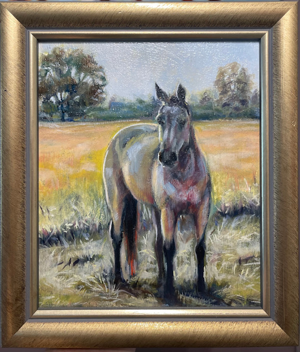 A Horse At Sunrise by Catherine Miles