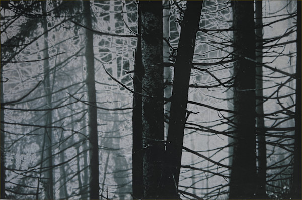 Connecting Lines by LCole