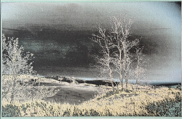 Pale Beach by LCole
