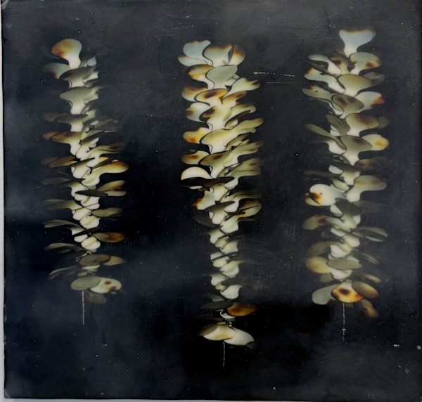Random Thoughts - Bones by LCole, Image 1.