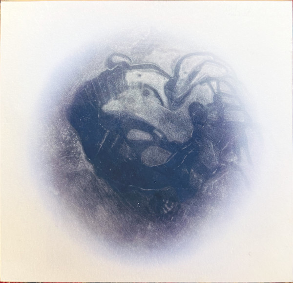 Random Thoughts - Trilobite by LCole, Image 1.