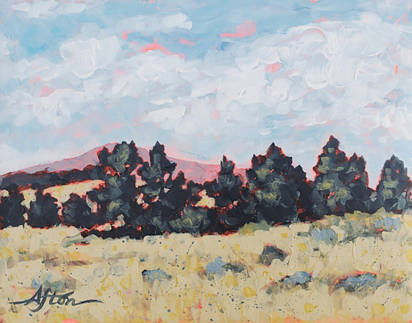 Montana Meadow by Afton