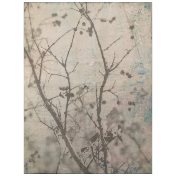 Subtle 1 by Shauna Marie Martin