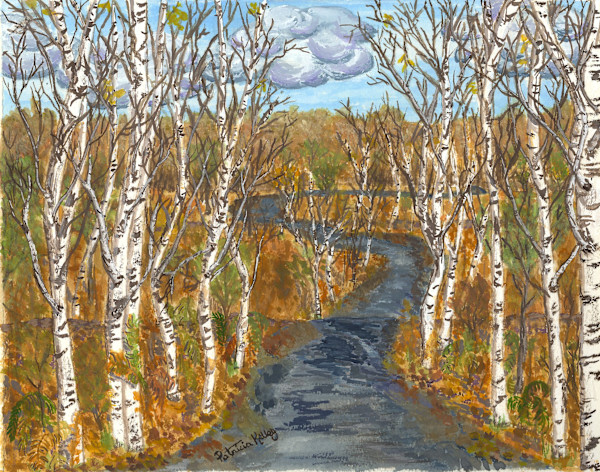 Birch Trees by Patricia A Kelley
