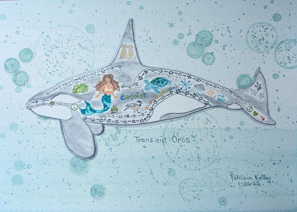 Transient Orca by Patricia A Kelley, Image 1.