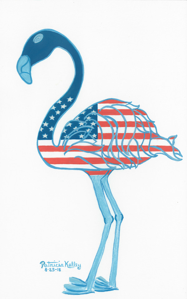 American Flamingo by Patricia A Kelley