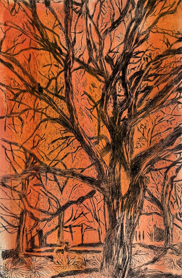 Halloween Woods by Katie Thompson