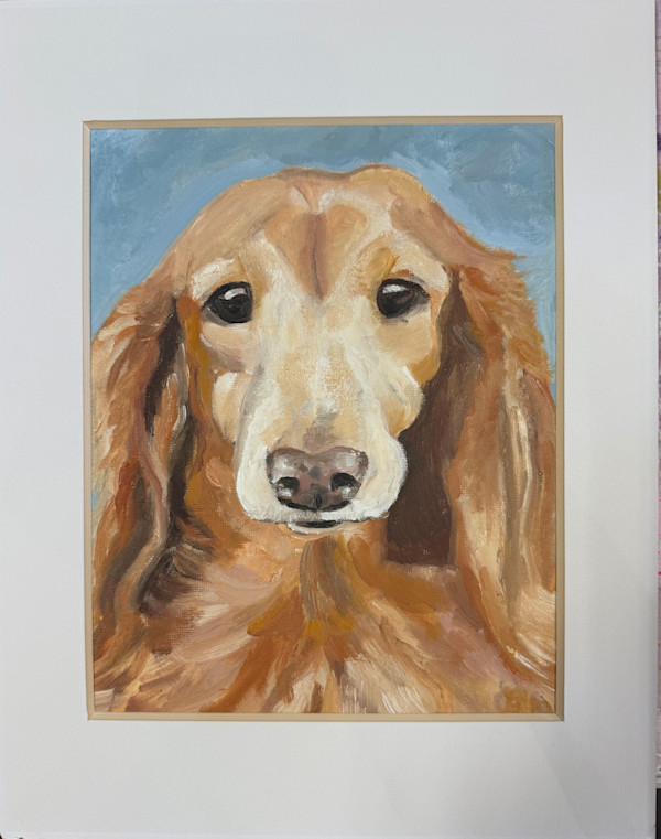 Ginger (Long Haired Dachsund) by Katie Thompson