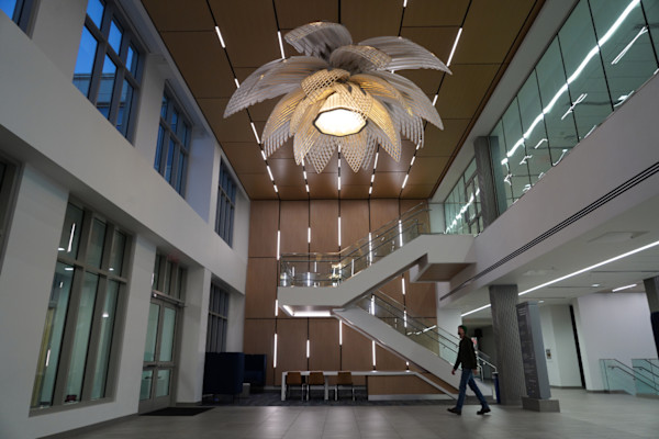 Bloom (MU - Clinical Health Science and Student Wellness) by Mark Aeling