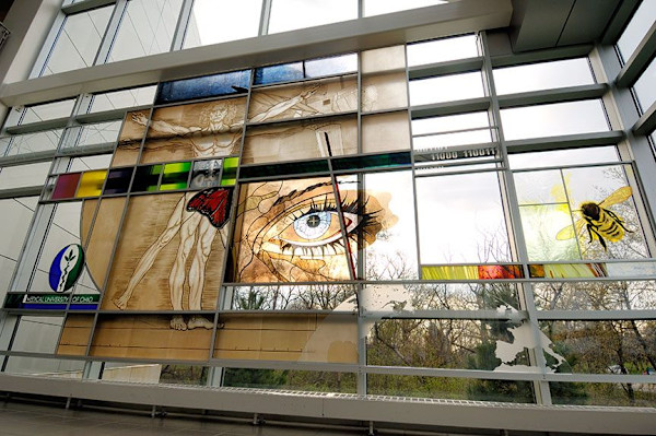 Anatomy Revealed (University of Toledo - Mercy Center) by Janine Ody-Miller