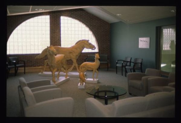 Evolution of the Horse (OSU - Galbreath Equine Center) by John Garton