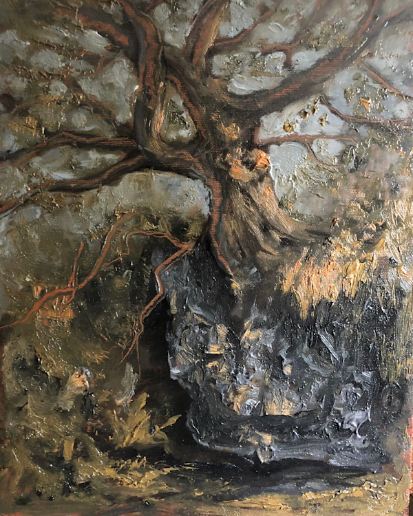 Branchel Oak by Alastair E. Blain