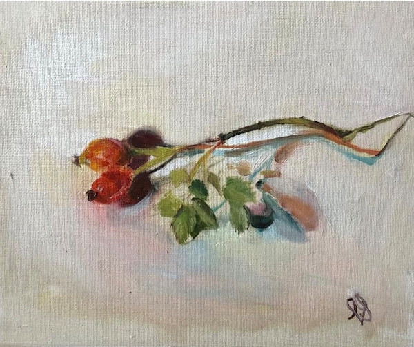 Rose Hip by Louise Ogilvy