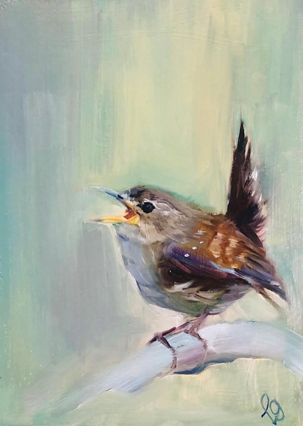 Wren Song by Louise Ogilvy