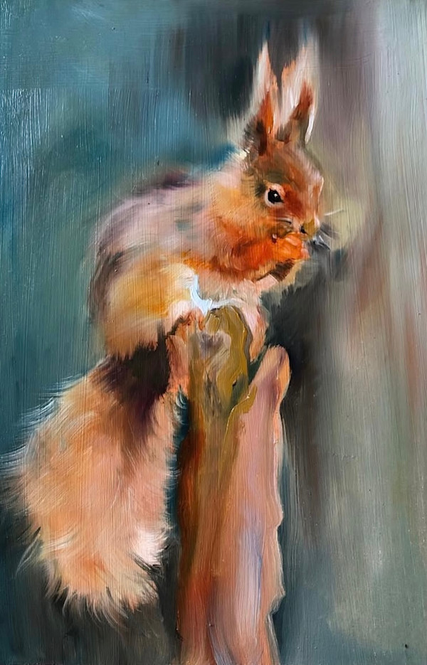 Red Squirrel by Louise Ogilvy