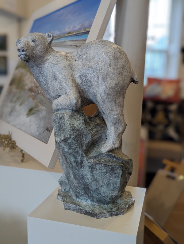 Polar Bear by Babette Gemmell