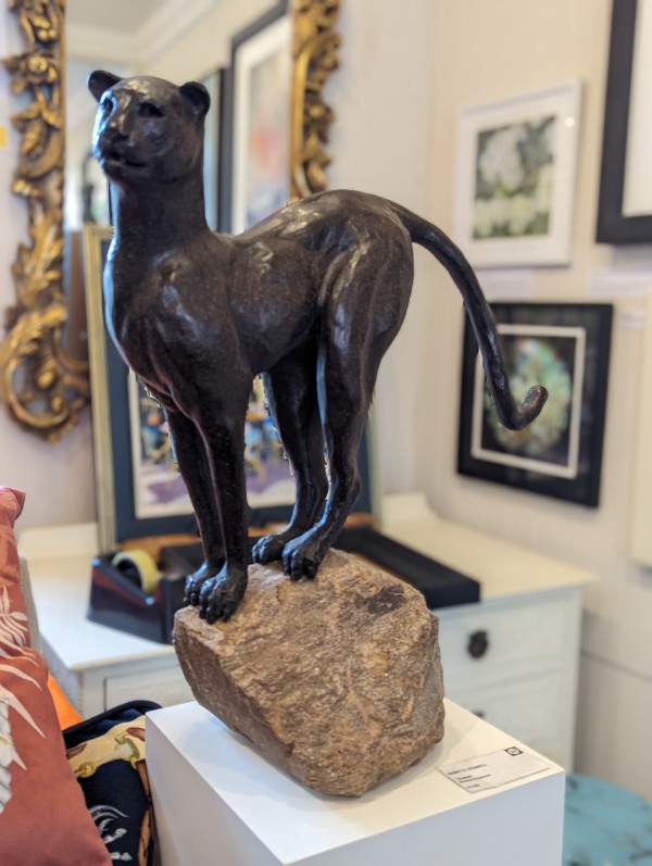 Cheetah by Babette Gemmell