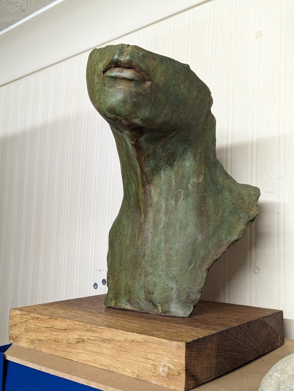 Woman's Half Face by Tim Cracknell