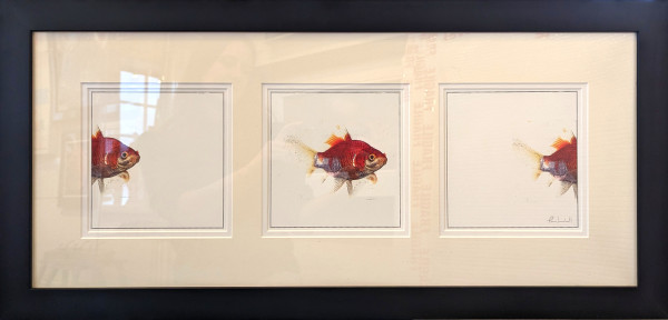 Passing Through by Tim Cracknell