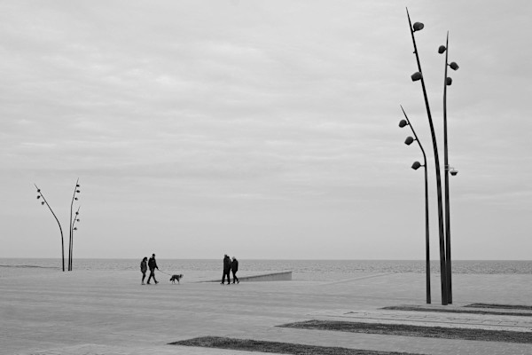 Walking the Dog by Sandie Smith