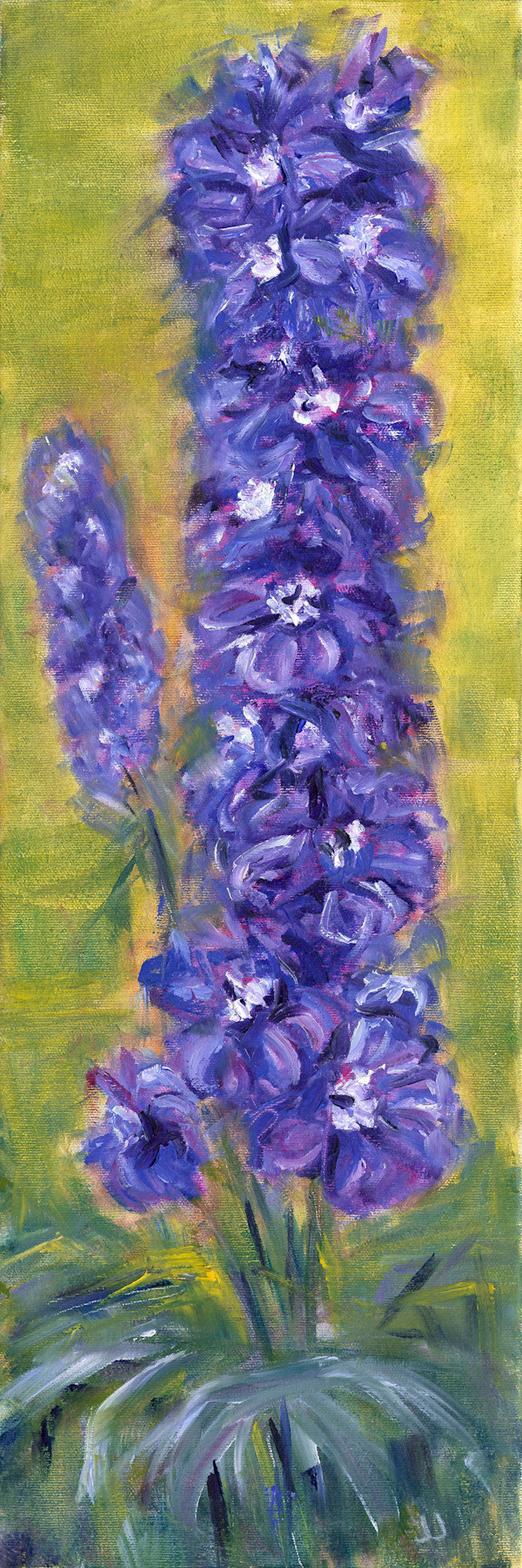 Delphinium Delight