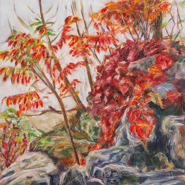 Fog Kissed Palette Canyon's Edge by Janet Jardine, Image 14.