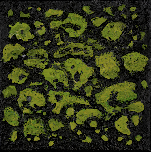 Mossy Lava no. 2451 by Klara Gunnlaugsdottir