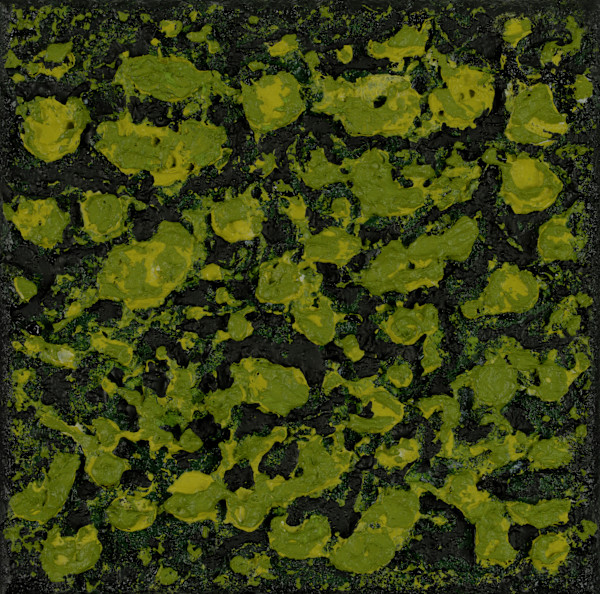 Mossy Lava no 2454 by Klara Gunnlaugsdottir