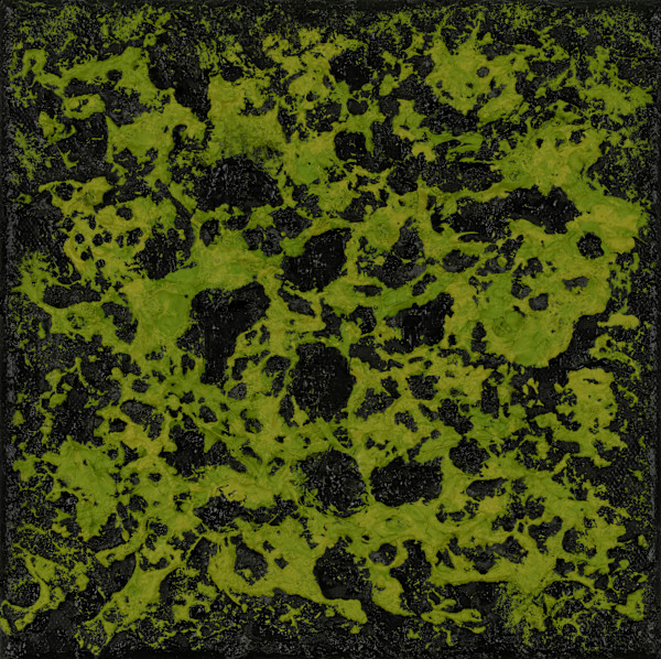 Mossy Lava no. 2453 by Klara Gunnlaugsdottir