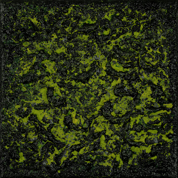 Mossy Lava no 2452 by Klara Gunnlaugsdottir