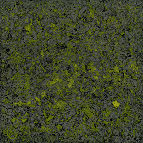 Mossy Lava Field no. 2455 by Klara Gunnlaugsdottir