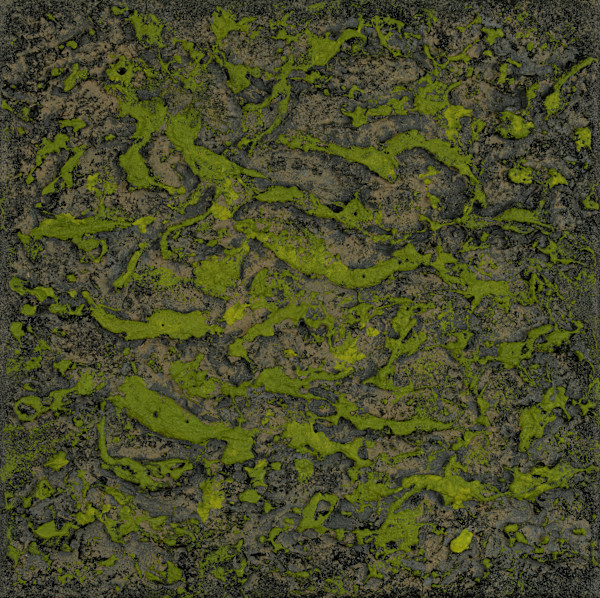 Mossy Lava Field no. 2456 by Klara Gunnlaugsdottir