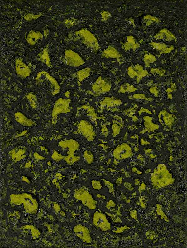 Mossy Lava Field no. 2457 by Klara Gunnlaugsdottir
