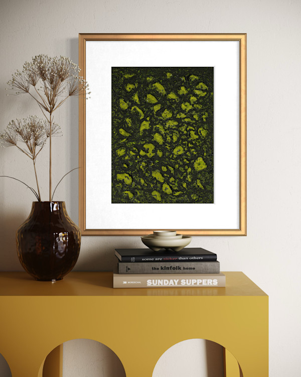 Mossy Lava Field no. 2457 1/50 by Klara Gunnlaugsdottir