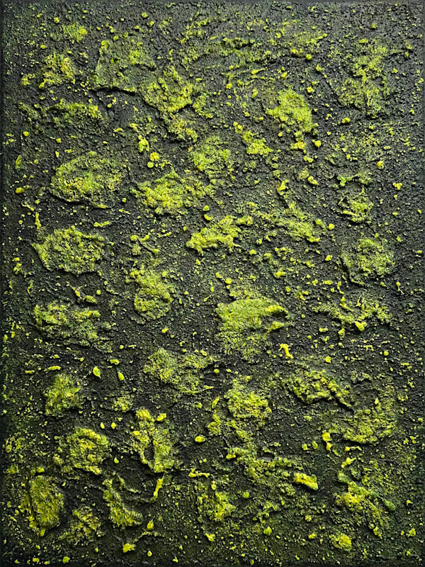 Mossy Lava Field no. 2458 by Klara Gunnlaugsdottir