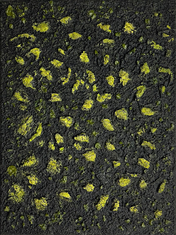 Mossy Lava Field (Champ de lave couvert de mousse) by Klara Gunnlaugsdottir, Image 1.