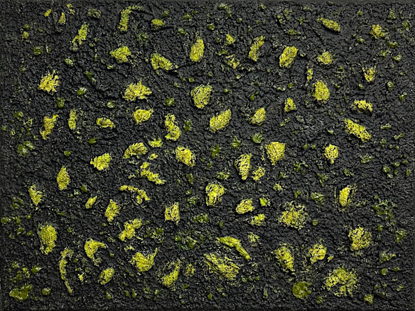 Mossy Lava Field no. 2459 by Klara Gunnlaugsdottir