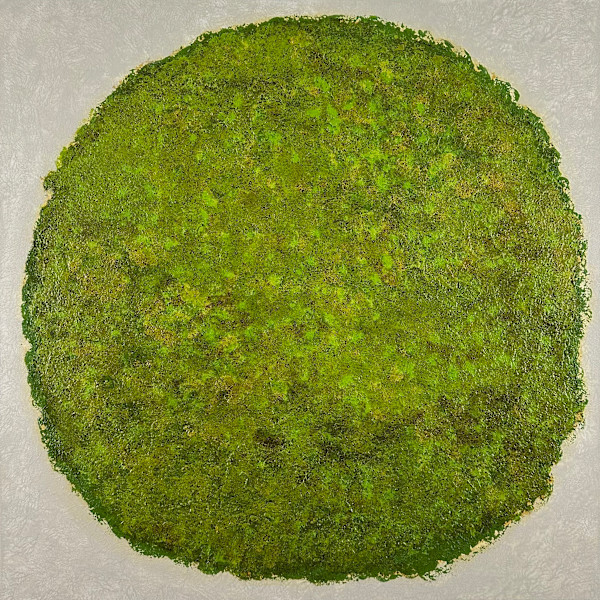 Whisper of Growth no. 2546 by Klara Gunnlaugsdottir