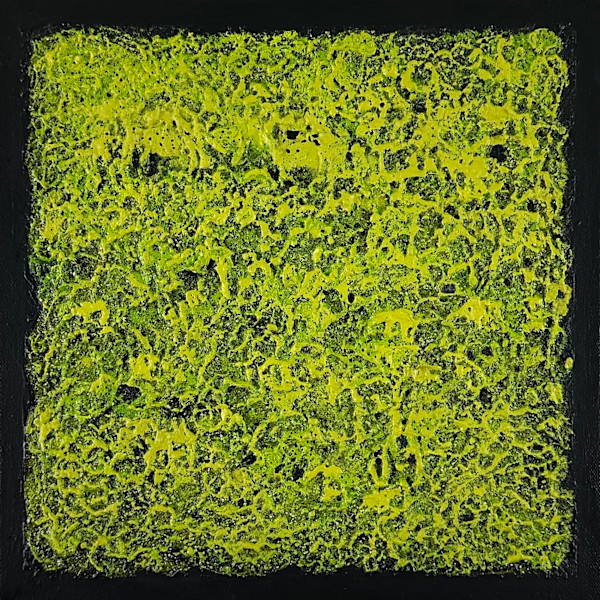 Mossy Lava Field no. 2550 by Klara Gunnlaugsdottir