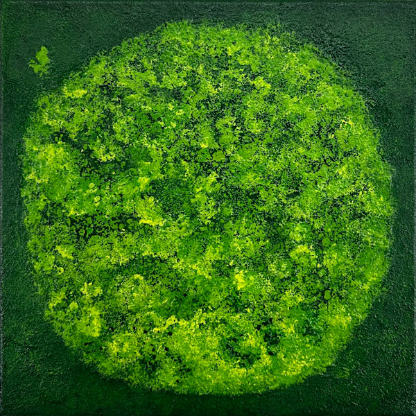 Round Mossy Art no. 2554 by Klara Gunnlaugsdottir
